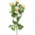 Floristik24 Rožės šakelė, šilkinės rožės, dirbtinė šakelė rožinė, kreminė L66cm Ø3/5cm