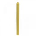 Floristik24 Kaimiškos žvakės Aukštos žvakidės geltonos spalvos 350/28mm 4vnt