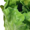 Floristik24 Salotų galvutės žalios dekoratyvinės salotinės maistinės manekenės 14cm