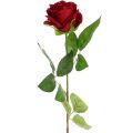 Floristik24 Aksominė rožė raudona 65cm 6vnt