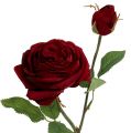 Floristik24 Aksominė rožė raudona su pumpuru Ø9cm L38cm