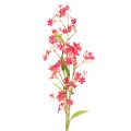 Floristik24 Dirbtinai žydinčios Oncidium orchidėjos šakelės dekoracija 112 cm 3 vnt.