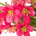 Dirbtinai žydinčios Oncidium orchidėjos šakelės dekoracija 112 cm 3 vnt. | Floristik24.lt