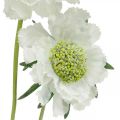 Skaudų dirbtinė gėlė balta sodo gėlė H64cm kekė su 3vnt