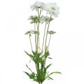 Skaudų dirbtinė gėlė balta sodo gėlė H64cm kekė su 3vnt