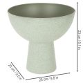 Dekoratyvinis dubuo su stovu augalams, 25 cm | Floristik24.lt