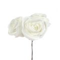 Floristik24 Putplasčio rožės baltos su perlamutru Ø6cm 24vnt