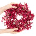 Dirbtinių gėlių vainikas, kūdikio kvėpavimo dekoracija, 30 cm | Floristik24.lt