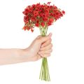 Dirbtinis kūdikio kvėpavimas, raudonas, puokštė kaip gėlių dekoracija, 30 cm, 10 vnt. | Floristik24.lt