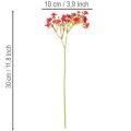 Dirbtinis kūdikio kvėpavimas, raudonas, puokštė kaip gėlių dekoracija, 30 cm, 10 vnt. | Floristik24.lt