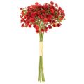 Dirbtinis kūdikio kvėpavimas, raudonas, puokštė kaip gėlių dekoracija, 30 cm, 10 vnt. | Floristik24.lt