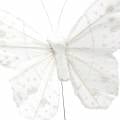 Plunksninis drugelis ant vielos baltas su blizgučiais 10cm 12vnt