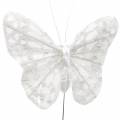 Floristik24 Plunksninis drugelis su viela balta, blizgučiai 5cm 24vnt