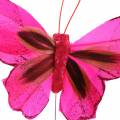 Floristik24 Plunksninis drugelis su viela 7cm rožinė violetinė 24vnt