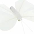 Floristik24 Plunksninis drugelis ant segtuko baltas 7-8cm 8vnt