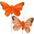 Floristik24 Dekoratyviniai drugeliai, gėlių kamščiai, pavasariniai drugeliai ant vielos geltona, oranžinė 4×6,5cm 12vnt.