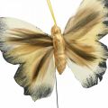 Floristik24 Deco drugelis, spyruoklinė puošmena, kandis ant vielos ruda, geltona, balta 6×9cm 12vnt