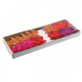 Floristik24 Pavasariniai, plunksniniai drugeliai su žėručiu, deko drugelis raudonas, oranžinis, rožinis, violetinis 4×6,5cm 24vnt.