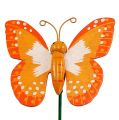 Floristik24 Dekoratyvinis kištukas drugelis oranžinis 6,5cm 24vnt
