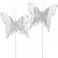 Floristik24 Drugeliai su perlais ir žėručiu, vestuvių dekoracijos, plunksniniai drugeliai ant baltos vielos