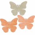 Floristik24 Drugeliai pabarstyti Dekoratyviniai drugelių medžio oranžiniai, abrikosai, rudi 72vnt.