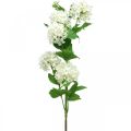 Sniego gniūžtės šakelė Dirbtinis augalas Šilkinė gėlė Balta Ø6.5cm L78cm