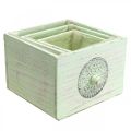 Floristik24 Augalų dėžutės dekoratyvinis stalčius nušiuręs žalias 15-23cm rinkinys iš 3