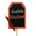 Floristik24 Atgal į mokyklą dekoratyvinis kištukas “Pagaliau mokyklinis vaikas” medis 7×5,5cm 16vnt