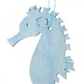 Floristik24 Jūrų arkliukas pakabinti mėlyna, balta kabykla jūrinė dekoracija 8vnt