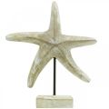 Floristik24 Jūrų žvaigždė į vietą, jūrinės medienos apdaila natūralios spalvos, balta H23,5 cm