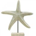 Floristik24 Jūros žvaigždė iš medžio, dekoratyvinė jūrinė skulptūra, jūros dekoracija natūralių spalvų, balta H28cm