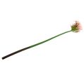 Floristik24 Šilkinė gėlė agapanthus rožinė 80cm