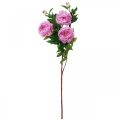 Floristik24 Šilko gėlių bijūnas dirbtinis rožinis violetinis 135cm