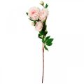 Floristik24 Šilko gėlių bijūnas dirbtinis šviesiai rožinis, baltas 135cm