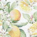 Floristik24 Servetėlės vasarinės stalo dekoracijos citrinos dekoras 25x25cm 20vnt