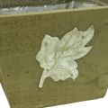Floristik24 Augalų dėžutė medinė skurdi prašmatni medinė dėžutė žalia 11×14,5×14 cm