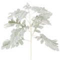 Floristik24 Dirbtinė Senecio šakelė, sidabro lapas, įmantriai pagaminta, 45 cm, 3 dalys