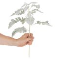 Dirbtinė Senecio šakelė, sidabro lapas, įmantriai pagaminta, 45 cm, 3 dalys | Floristik24.lt