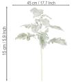 Dirbtinė Senecio šakelė, sidabro lapas, įmantriai pagaminta, 45 cm, 3 dalys | Floristik24.lt
