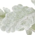 Dirbtinė Senecio šakelė, sidabro lapas, įmantriai pagaminta, 45 cm, 3 dalys | Floristik24.lt