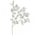 Floristik24 Dekoratyvinė šakelė sidabro lapelis balta Lunaria šakelė dirbtinė šakelė 70cm