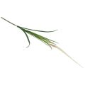 Floristik24 Sidabriniai plaukai žolė žalia augalas saldus žolė dirbtinis 104cm
