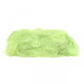 Floristik24 Sisal May green apdaila natūralaus pluošto sizalio pluoštas 300g