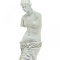 Floristik24 Veneros statulos dekoratyvinė skulptūra H29cm pilkai rudos dekoratyvinės figūros sodas