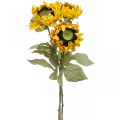 Floristik24 Dirbtinės saulėgrąžos Sunflower Deco Drylook L60cm 3vnt
