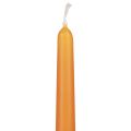 Floristik24 Kūginės žvakės Wenzel žvakės oranžinės 250/23mm 12vnt