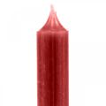 Floristik24 Strypo žvakė raudonos spalvos žvakės rubino raudona 180mm/Ø21mm 6vnt
