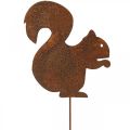 Floristik24 Sodo kištukas voverės patina dekoratyvinis kištukas 20cm