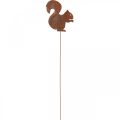 Floristik24 Sodo kištukas voverės patina dekoratyvinis kištukas 20cm