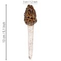 Dirbtinis morelio grybo dekoratyvinis kuolas augalų vazonams ir stalui, 13 cm, 2 vnt. | Floristik24.lt